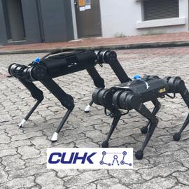CUHK LeggedRobot Lab