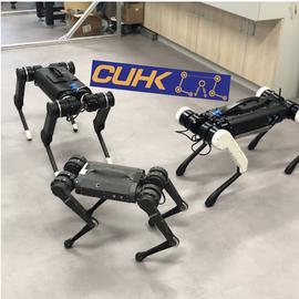 CUHK LeggedRobot Lab